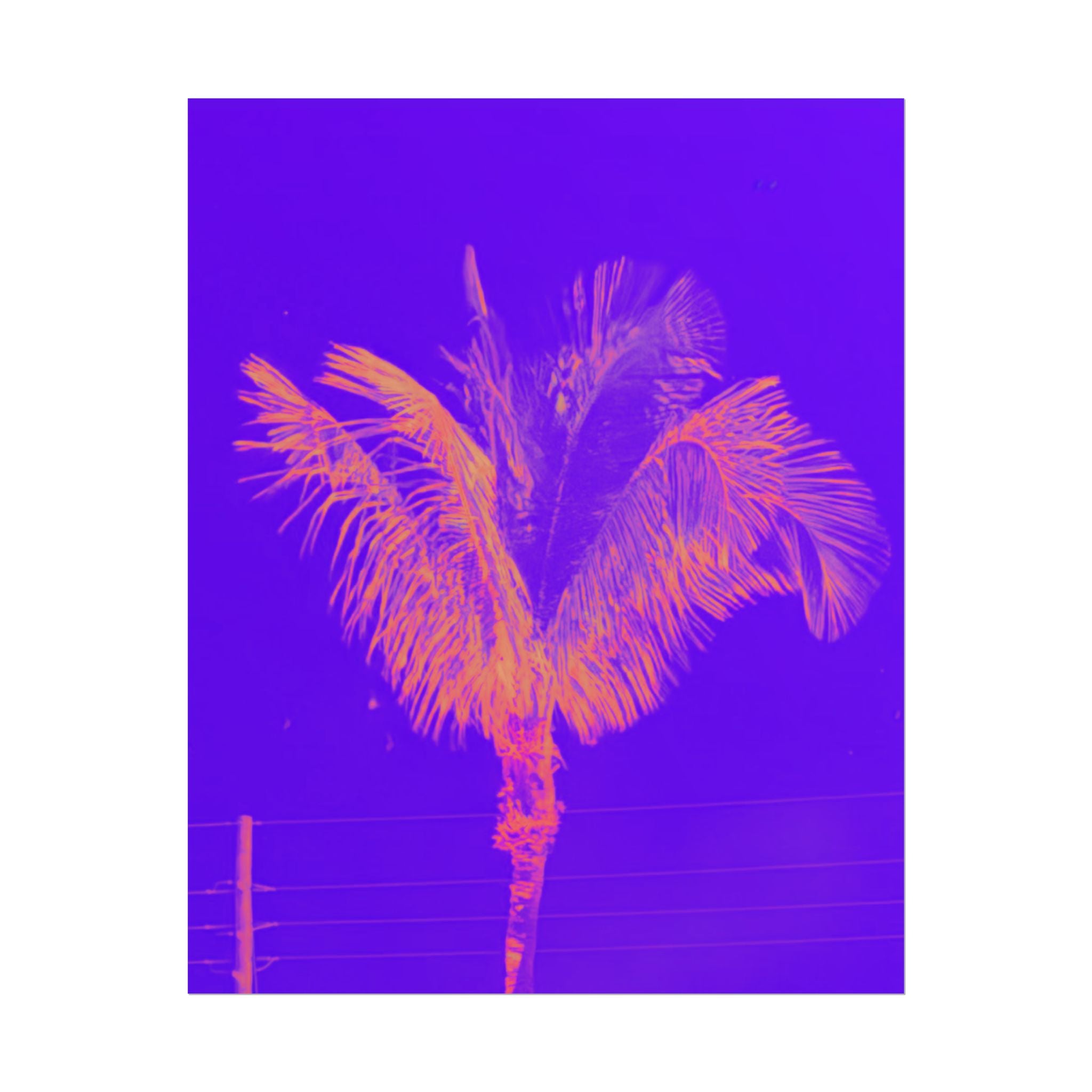 Tropical Palm Poster — Neon Purple & Orange Retro Wall Art